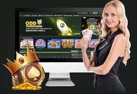 Live dealer studio layout and camera angles